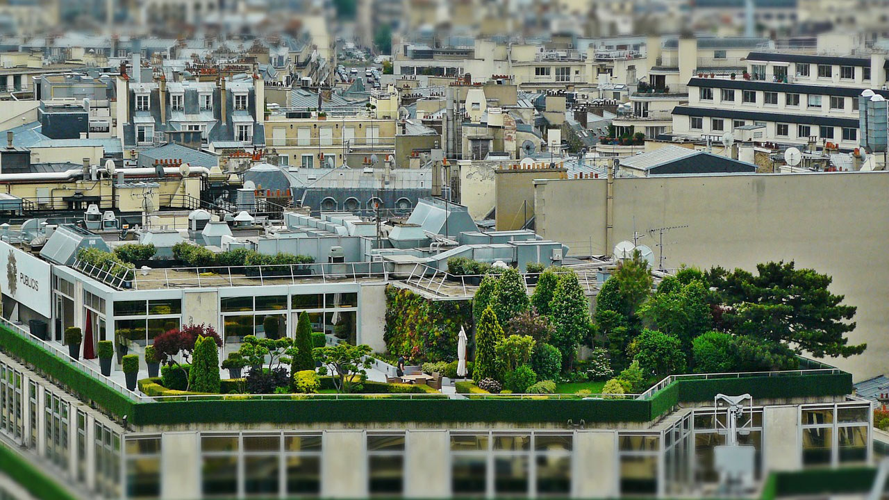 Urban Gardening in Form einer Dachterrasse mit Rasen und Bäumen