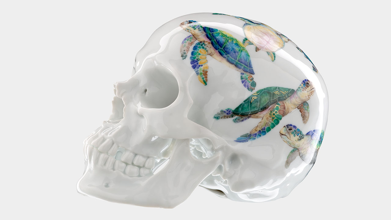 Limitiert auf 25 Stück: Totenschädel mit Wasserschildkröten