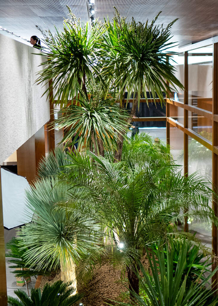 Grüne Oasen schaffen